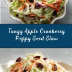 Apple Cranberry Poppy Seed Slaw Recipe