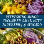 Mango Cucumber Salad with Blueberry and Avocado Recipe