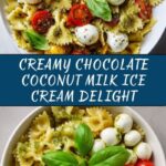 Chocolate Coconut Milk Ice Cream Recipe