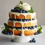 Dreamy Blueberry Shortcake Cake Recipe