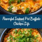 Instant Pot Buffalo Chicken Dip Recipe