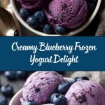 Blueberry Frozen Yogurt Recipe