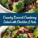 Broccoli Cranberry Salad Recipe
