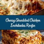 Shredded Chicken Enchiladas Recipe